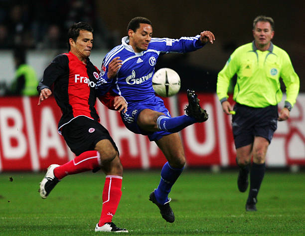 条体现了混 条体现了混